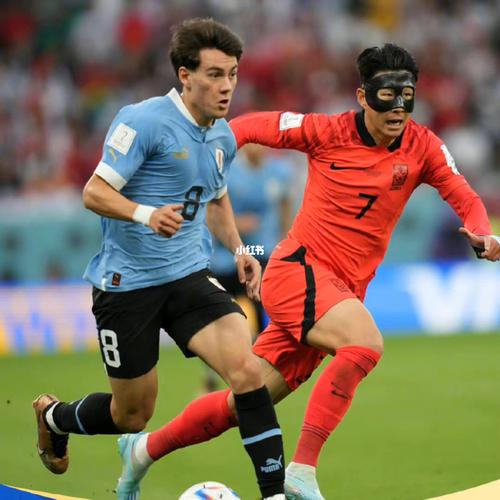 世界杯韩国vs乌拉圭分析