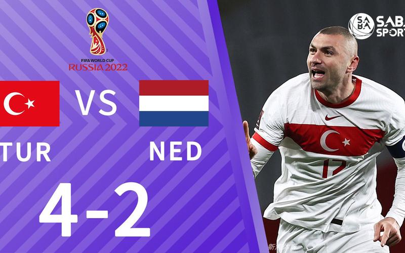 荷兰vs土耳其结果